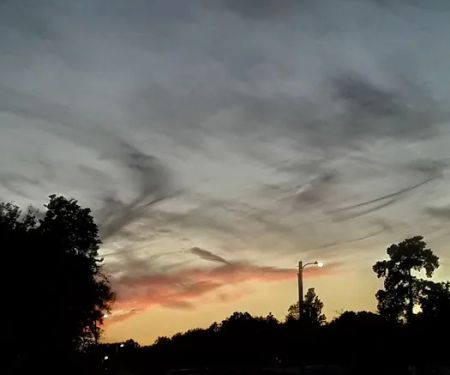 MacFarland Park Camp Sites