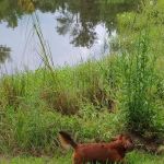 B & J Campground and RV Park