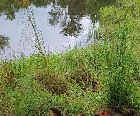 B & J Campground and RV Park