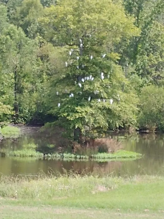 B & J Campground and RV Park Picture 6