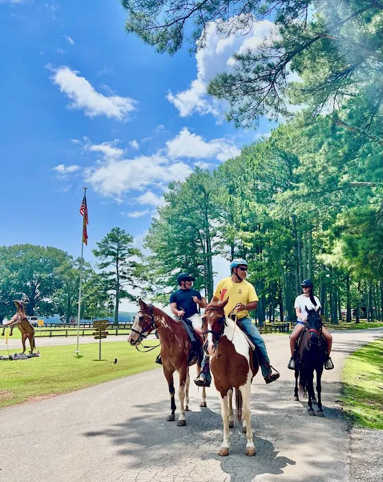 Decatur / Wheeler Lake KOA Holiday Picture 6
