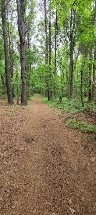 Cowford Campground Picture 10