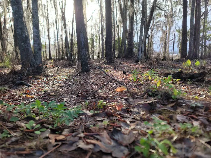 Ocean Pond Campground Picture 3