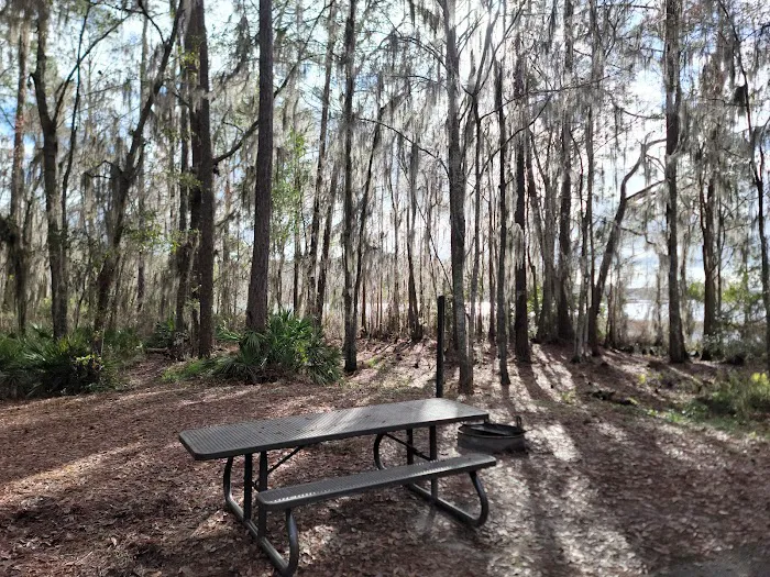 Ocean Pond Campground Picture 4