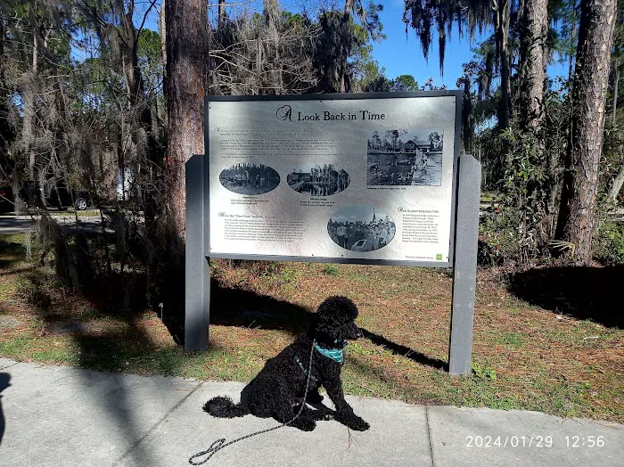 Ocean Pond Campground Picture 10