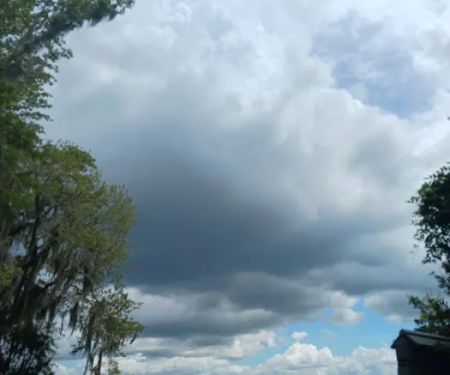 Olustee, FL. Hog Pen Landing