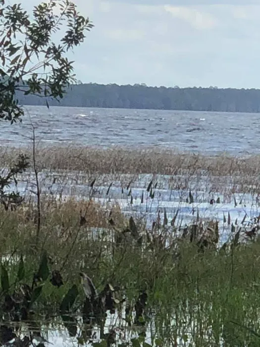 Hog Pen Landing Picture 1