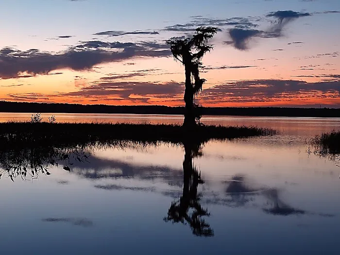 Hog Pen Landing Picture 4