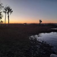 The Group Landing ico