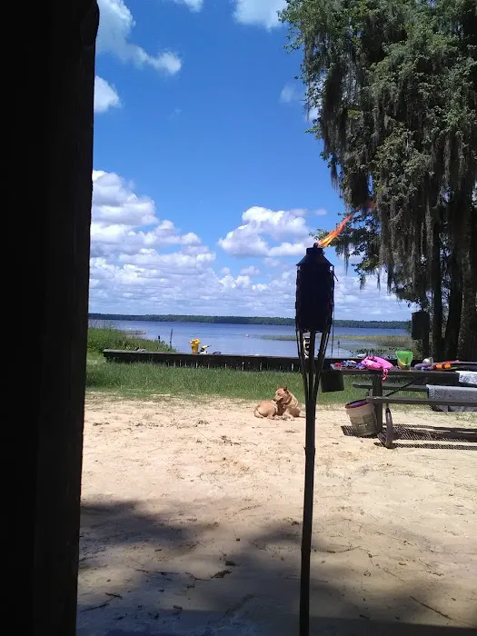 The Group Landing Picture 5