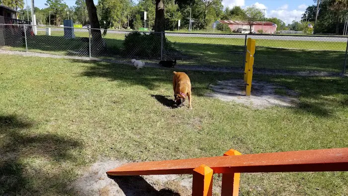 Starke / Gainesville N.E. KOA Holiday Picture 7