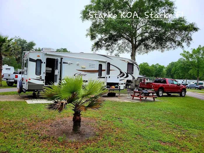 Starke / Gainesville N.E. KOA Holiday Picture 8