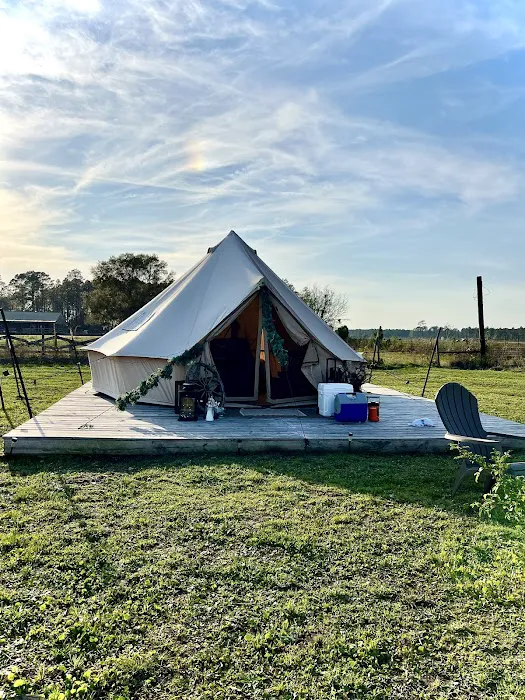 Sunset & Stars Glampsite Picture 6