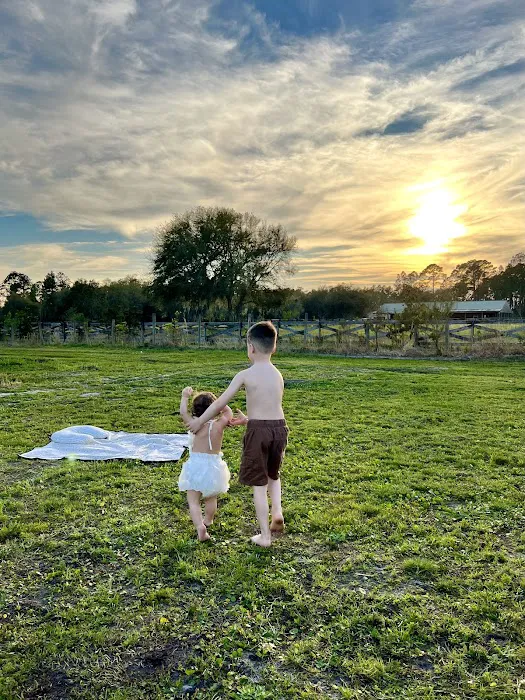 Sunset & Stars Glampsite Picture 7