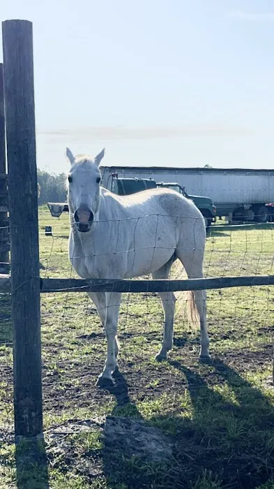 Sunset & Stars Glampsite Picture 4