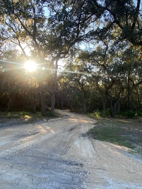 High Vibes PMA Picture 2