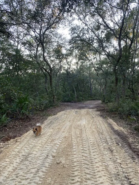 High Vibes PMA Picture 1