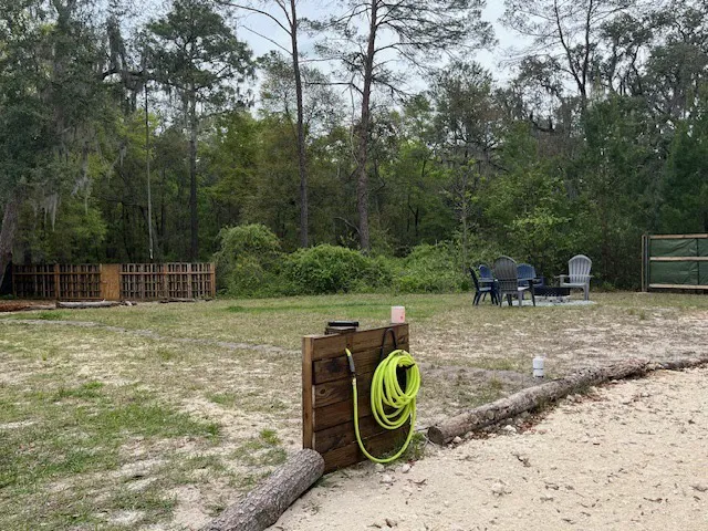 High Vibes PMA Picture 7