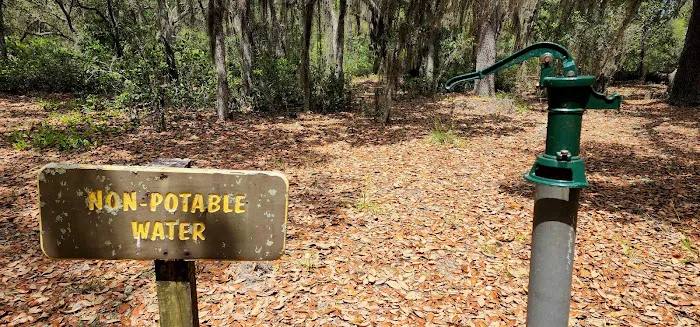 Etoniah State Forest Campground Picture 3