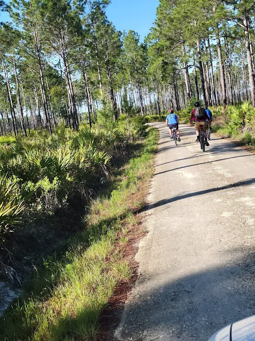 Etoniah State Forest Campground Picture 1