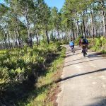 Etoniah State Forest Campground