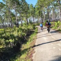 Etoniah State Forest Campground ico