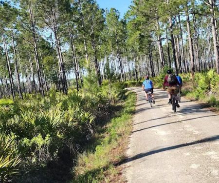 Etoniah State Forest Campground