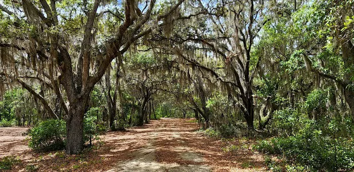 Etoniah State Forest Campground Picture 8