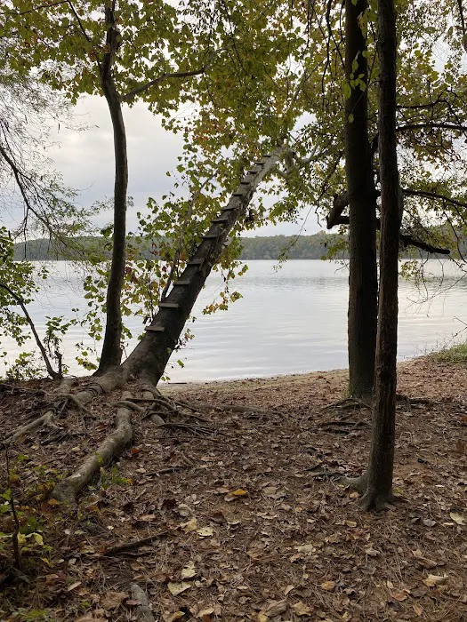 Point Mallard Campground Picture 3