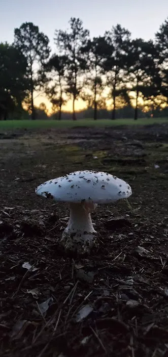 Point Mallard Campground Picture 7