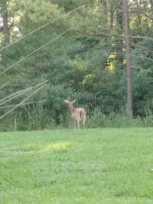 Corinth Recreation Area Picture 5
