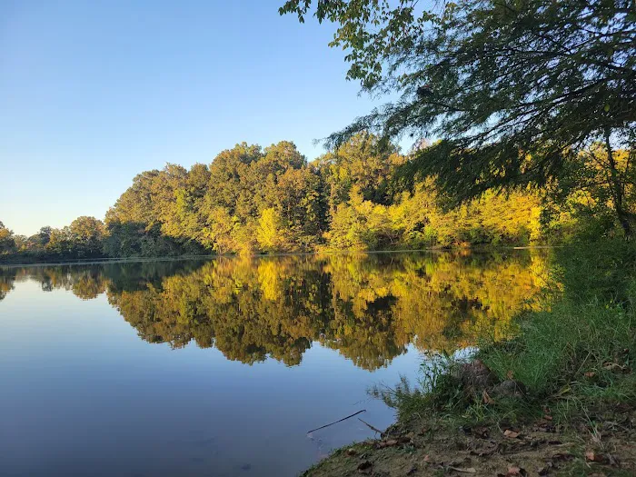 Gunter Hill Campground, Site 26 Picture 2
