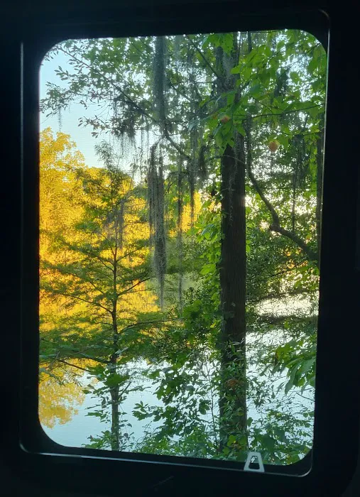 Gunter Hill Campground, Site 26 Picture 1