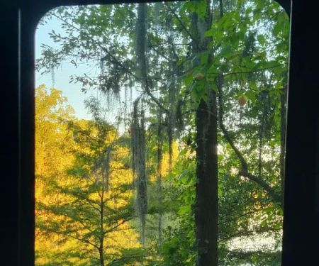 Gunter Hill Campground, Site 26