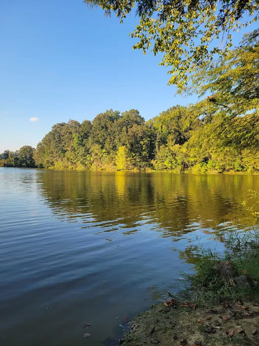 Gunter Hill Campground, Site 26 Picture 5