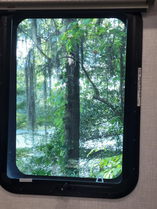 Gunter Hill Campground, Site 26 Picture 4