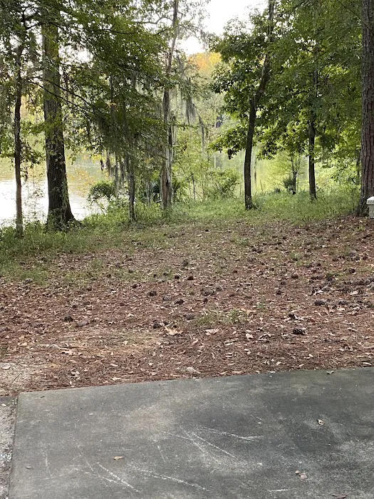 Gunter Hill Campground, Site 26 Picture 8