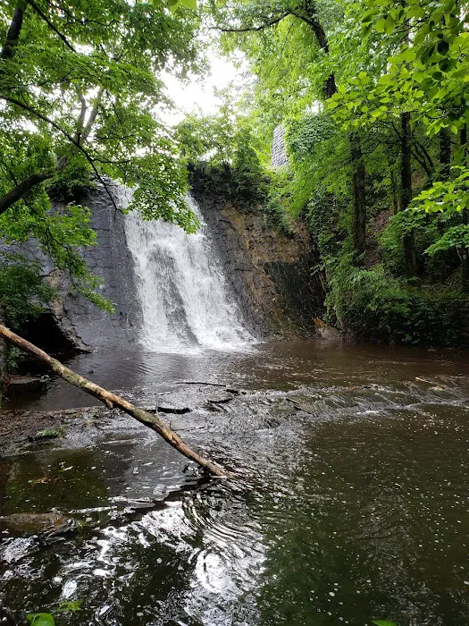 Camp Tranquility Picture 1