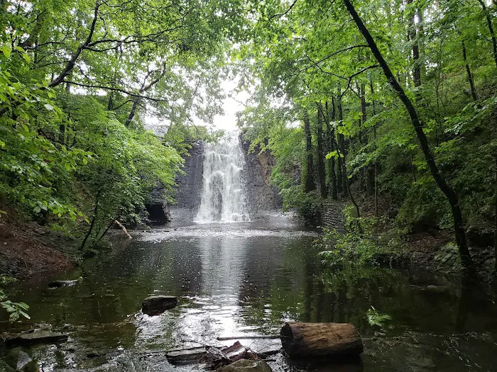 Camp Tranquility Picture 4