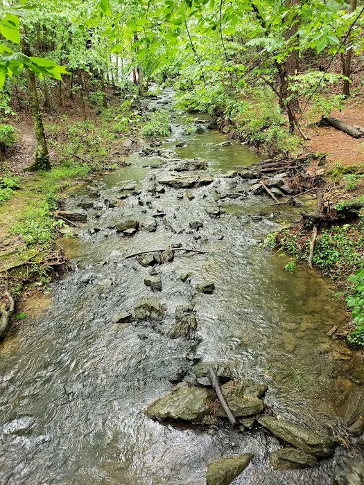 Camp Tranquility Picture 2