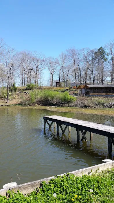 Okomo Camp Ground And Boat Launch Picture 10