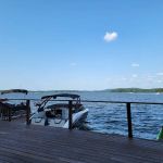 Goose's Point of View