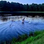 Cherokee Campground & RV Park