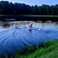 Cherokee Campground & RV Park ico