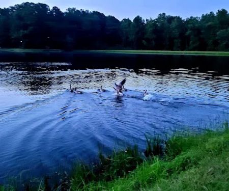 Cherokee Campground & RV Park