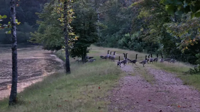 Cherokee Campground & RV Park Picture 2