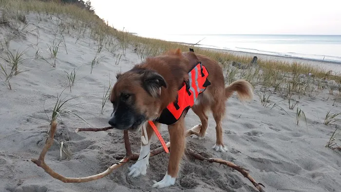 Lake Superior State Forest Campground Picture 6