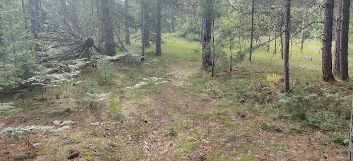 Fox River State Forest Campground Picture 5