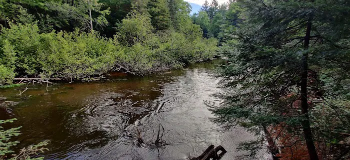 Fox River State Forest Campground Picture 4