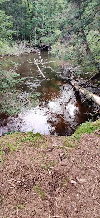 Fox River State Forest Campground Picture 6